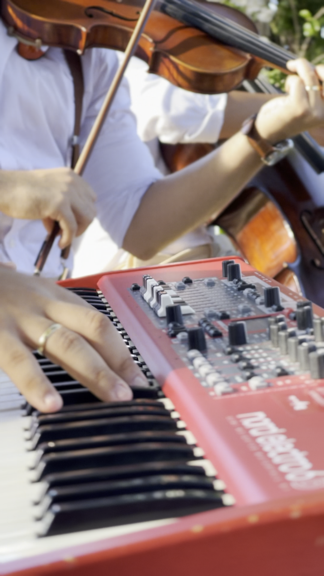 Piano e violino · detalhe