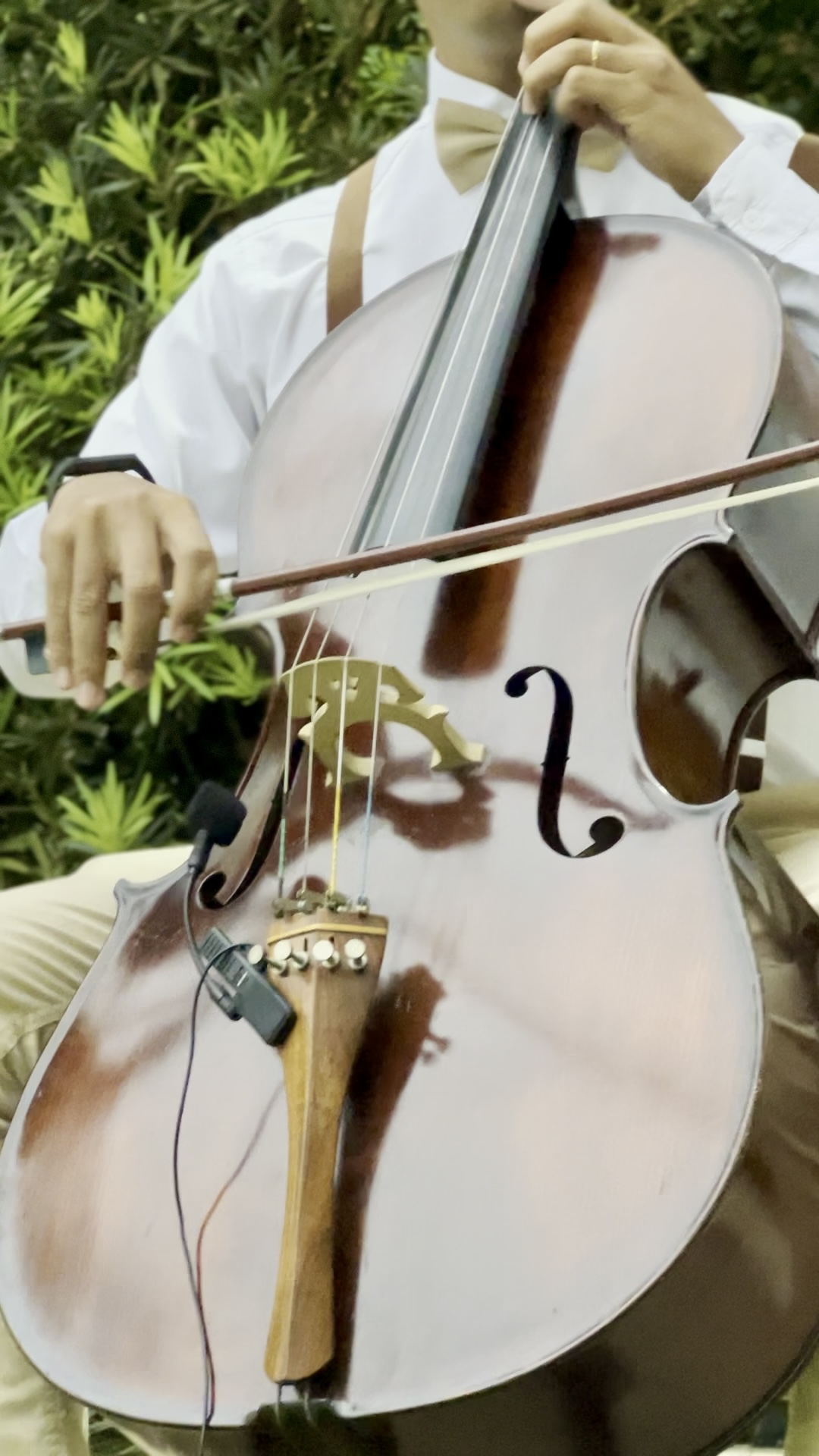 Violoncelo · detalhe